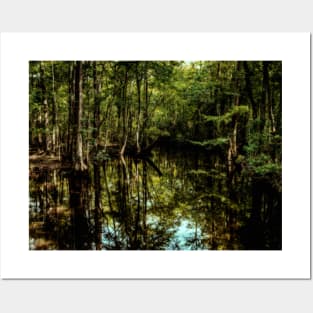 Swamp in Southeastern Georgia Posters and Art